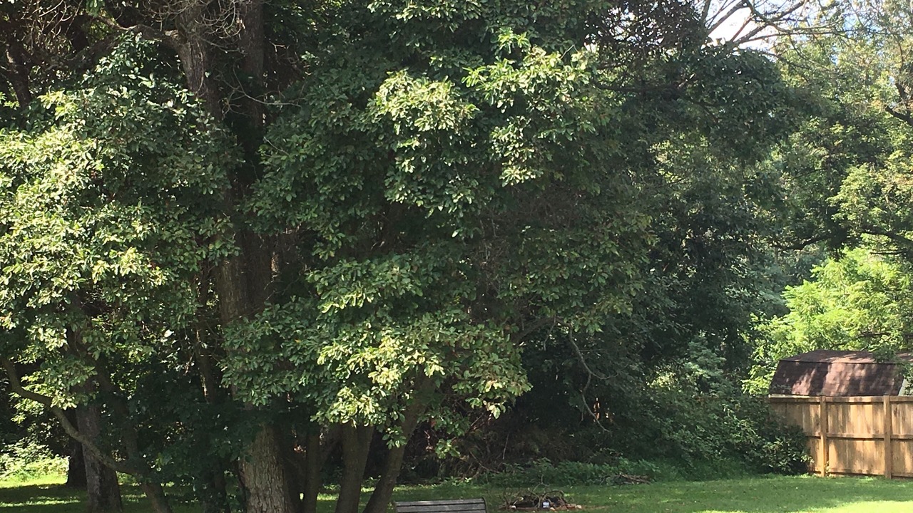 Photo of Outdoor in Carrolltowne