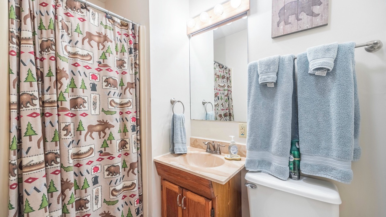 Photo of Bathroom in Northface