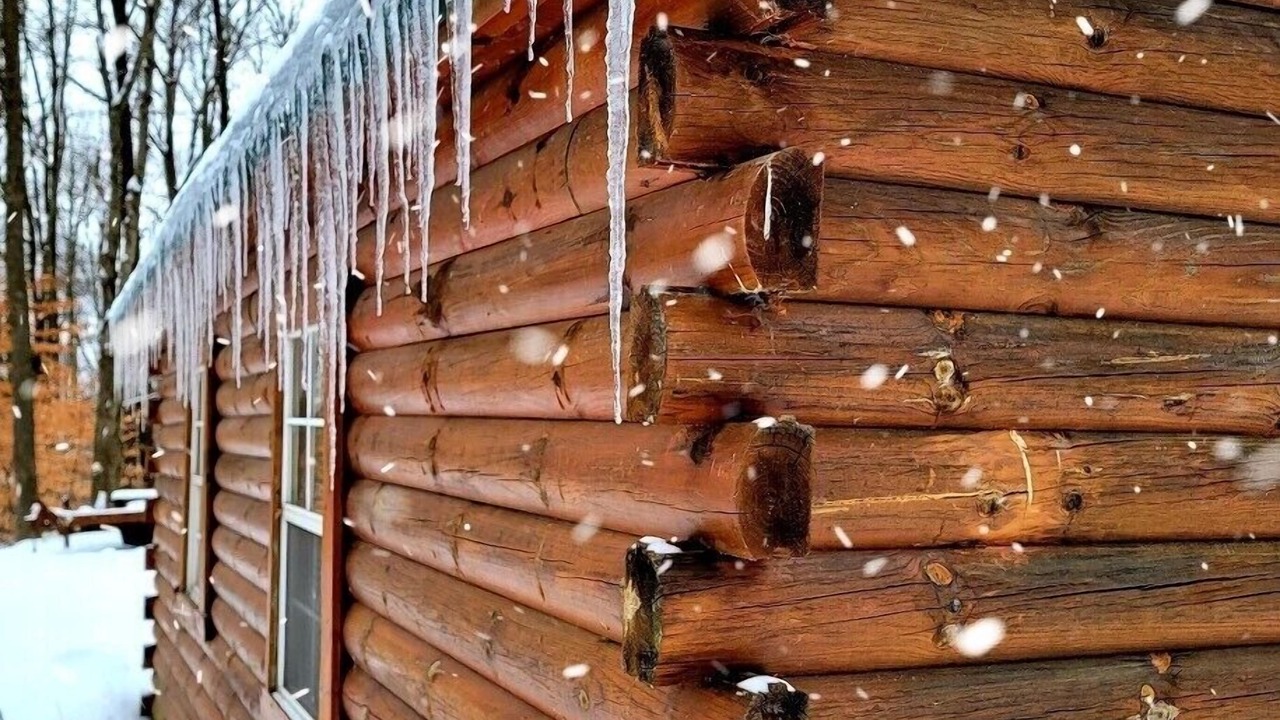Photo of Outdoor in McArthur