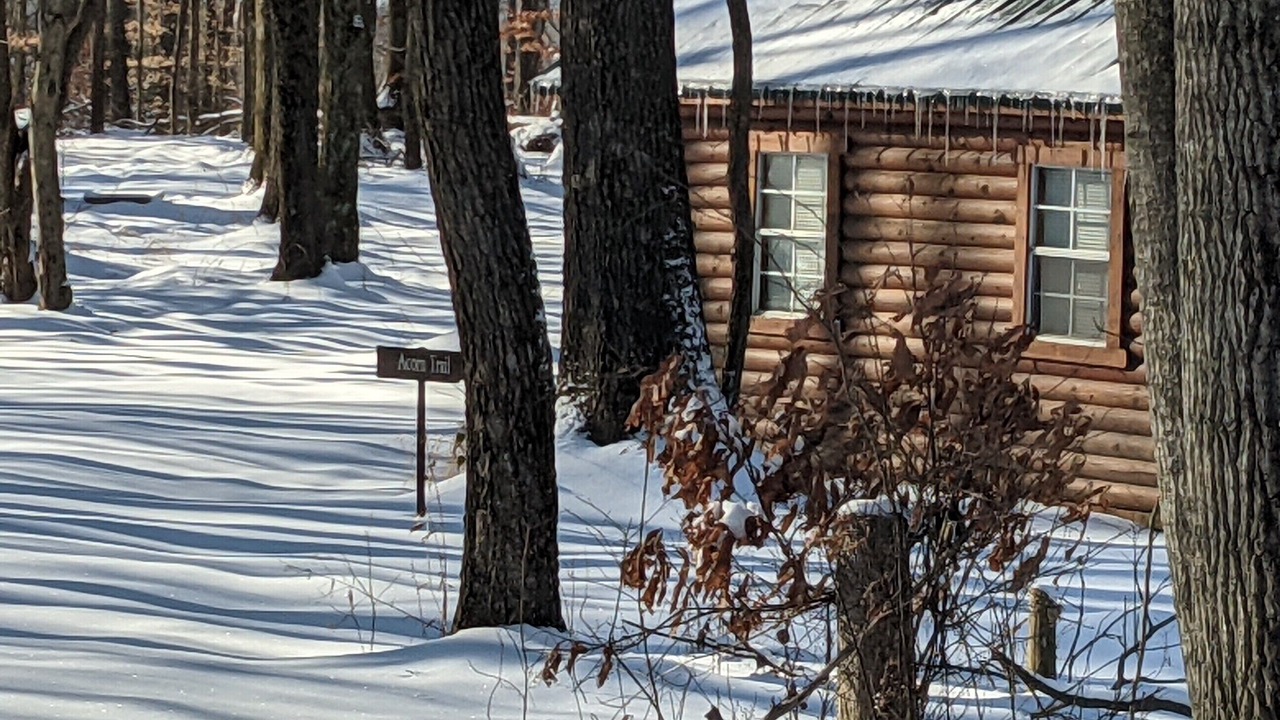 Photo of Outdoor in McArthur