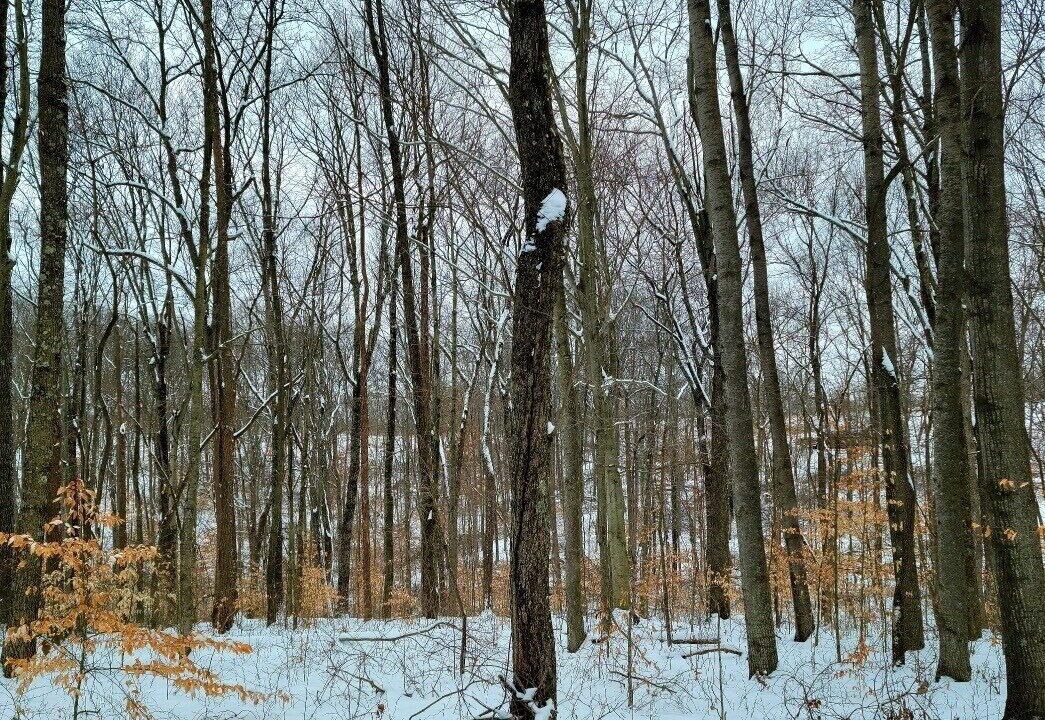 Photo of Others in McArthur