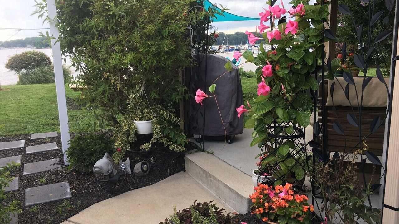 Photo of Outdoor in Elkton