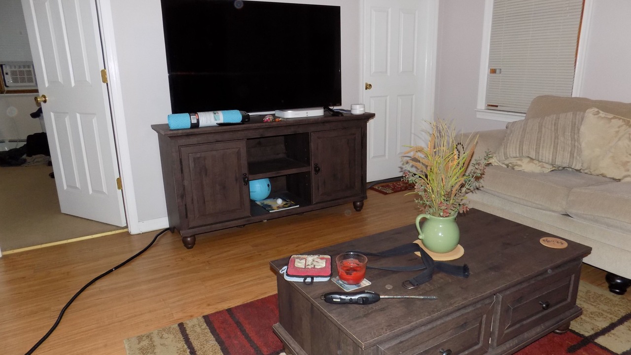 Photo of Livingroom in Constable Hook