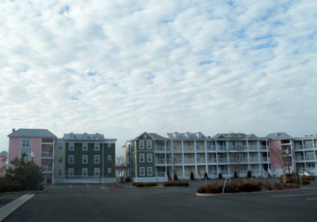 Photo of Outdoor in Chincoteague