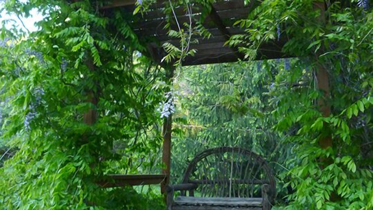 Photo of Others in Sparrow Bush