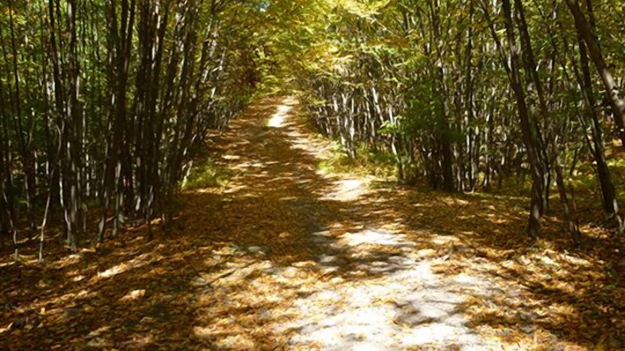 Photo of Outdoor in Sparrow Bush