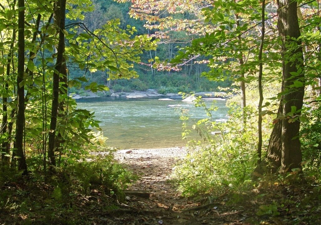 Photo of Others in Confluence