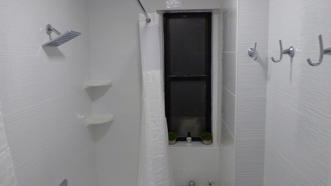 Photo of Bathroom in Morris Park