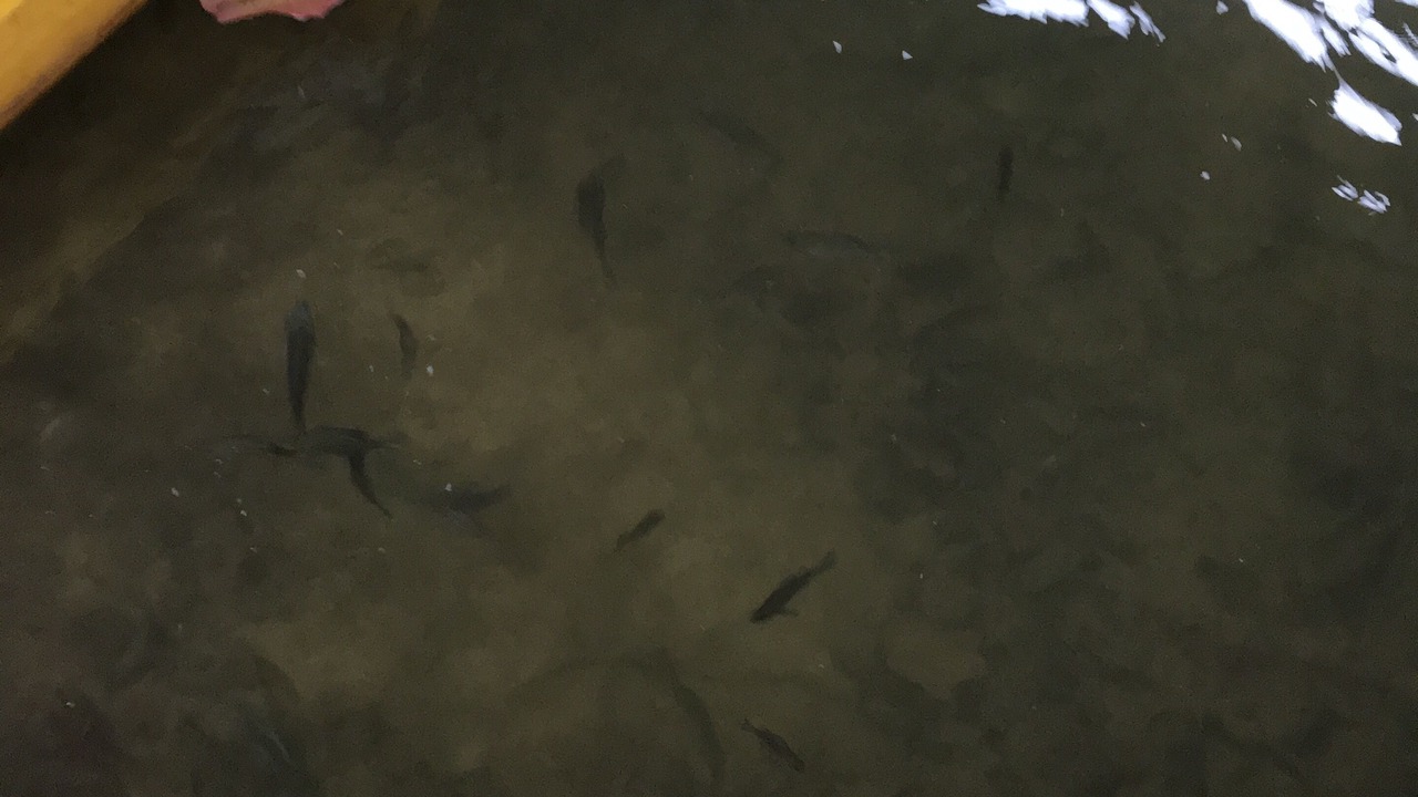 Photo of Others in Lynn