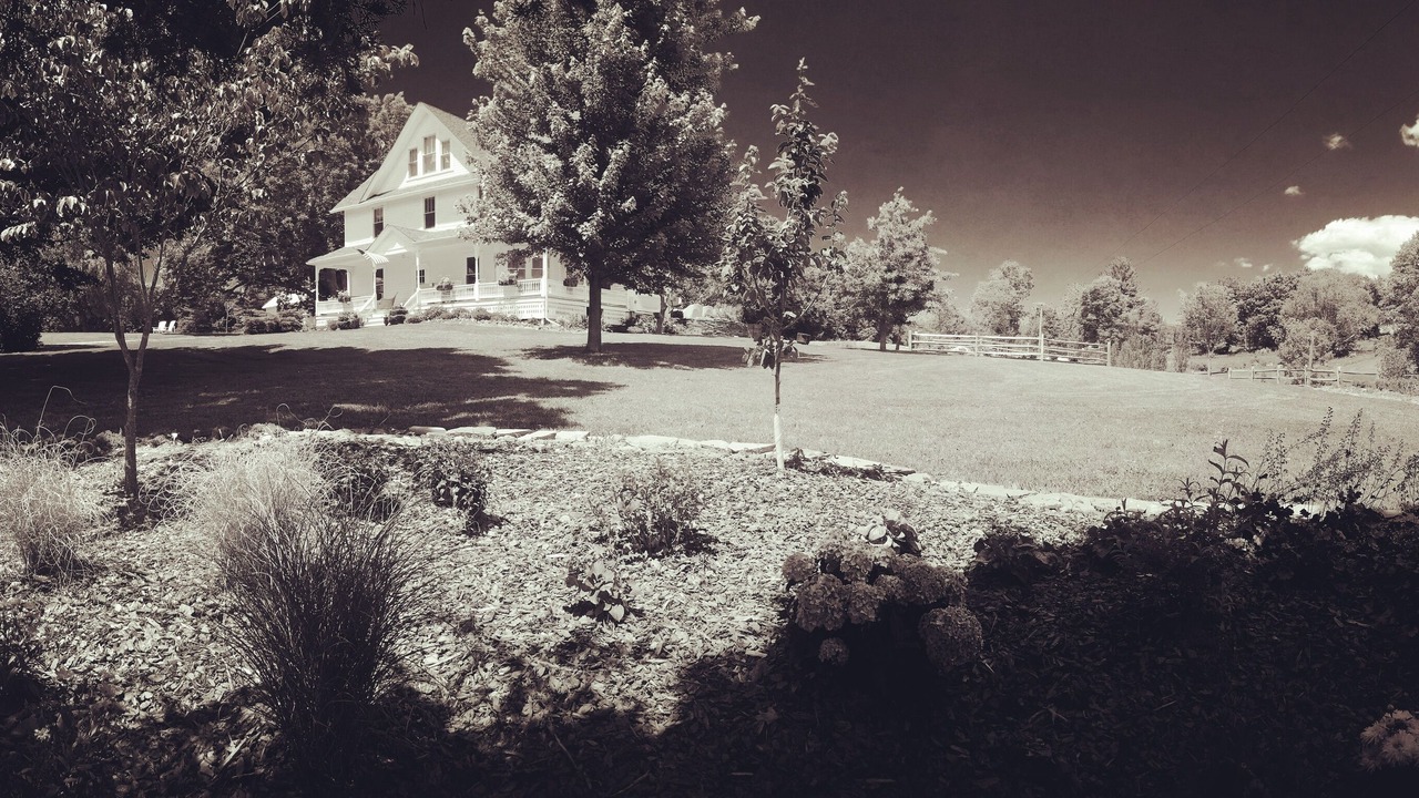 Photo of Outdoor in Narrowsburg
