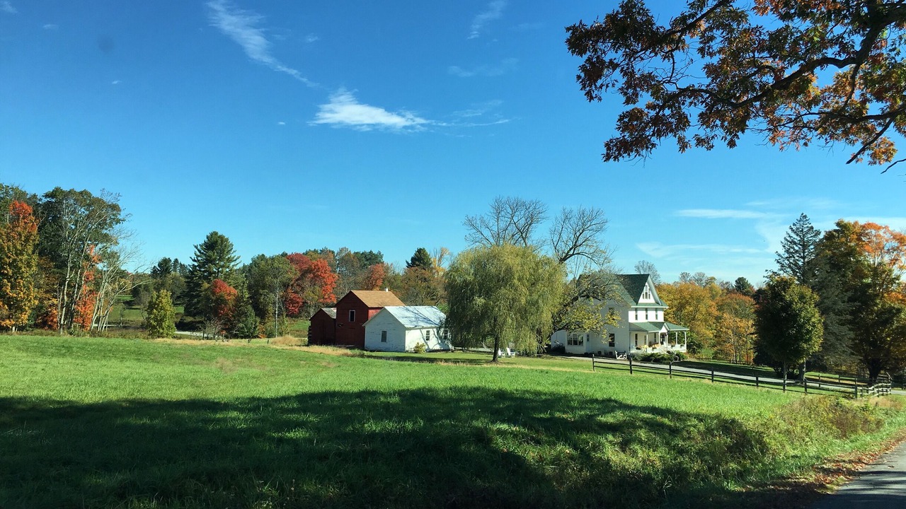 Photo of Others in Narrowsburg