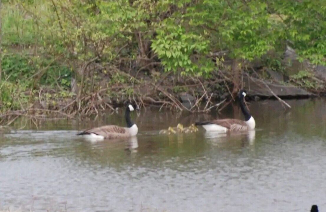 Photo of Others in Mercersburg