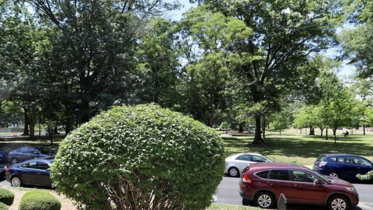 Photo of Outdoor in Wilmington