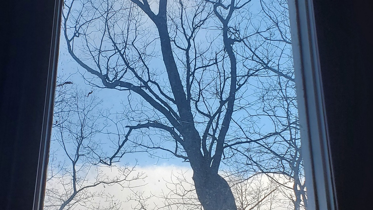 Photo of Others in Fishers Hill