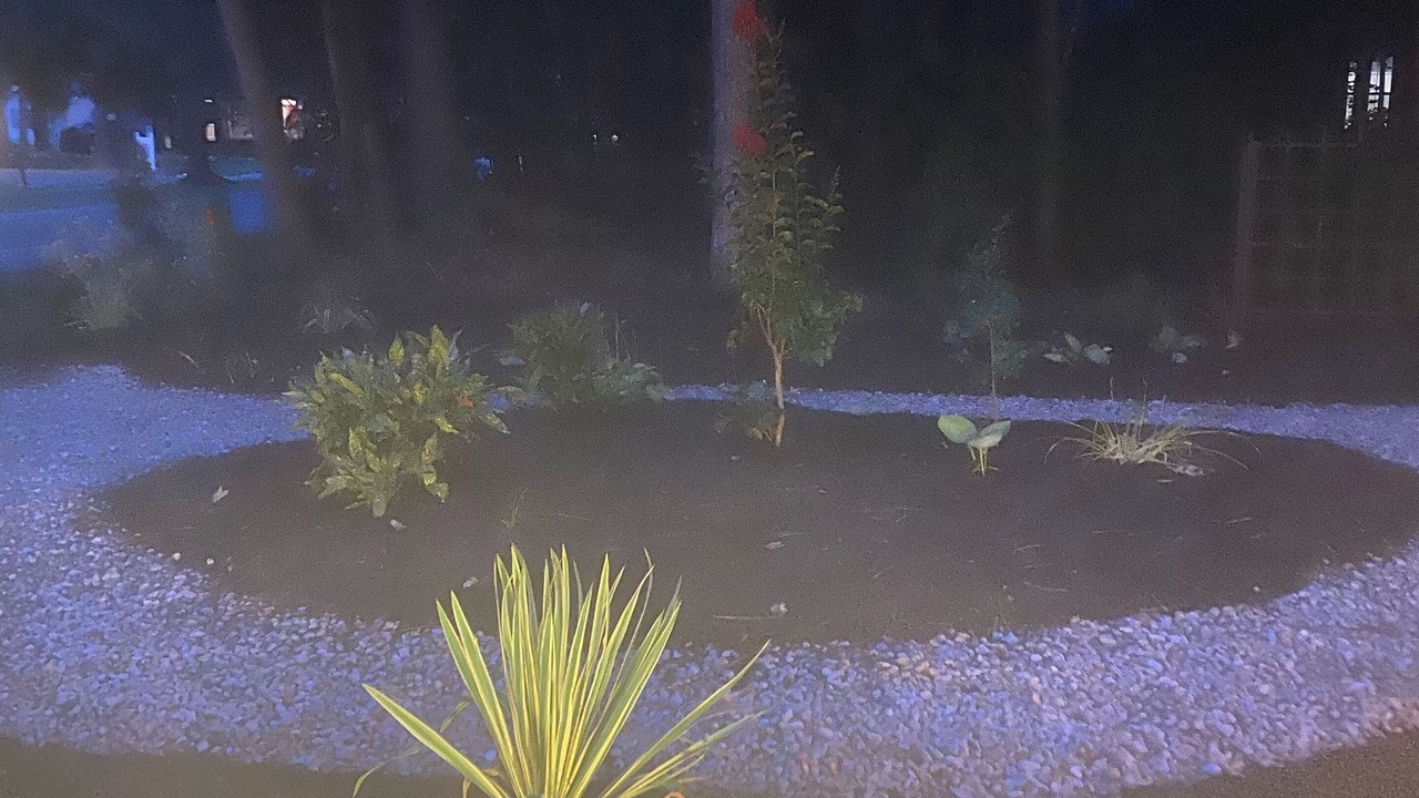 Photo of Outdoor in Ocean Pines