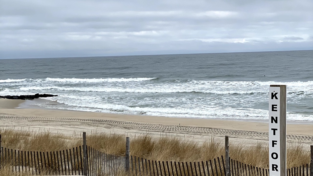 Photo of Others in South Beach Haven