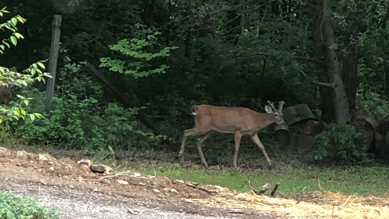 Photo of Others in Blissfield