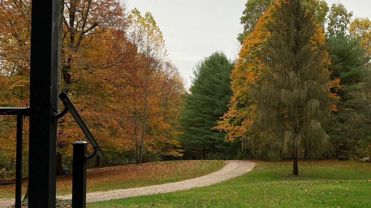 Photo of Outdoor in Blissfield