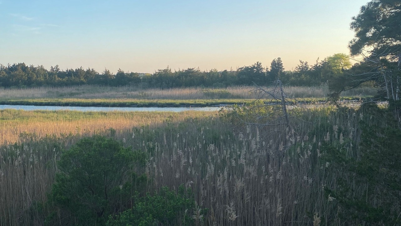 Photo of Others in Broadkill Beach
