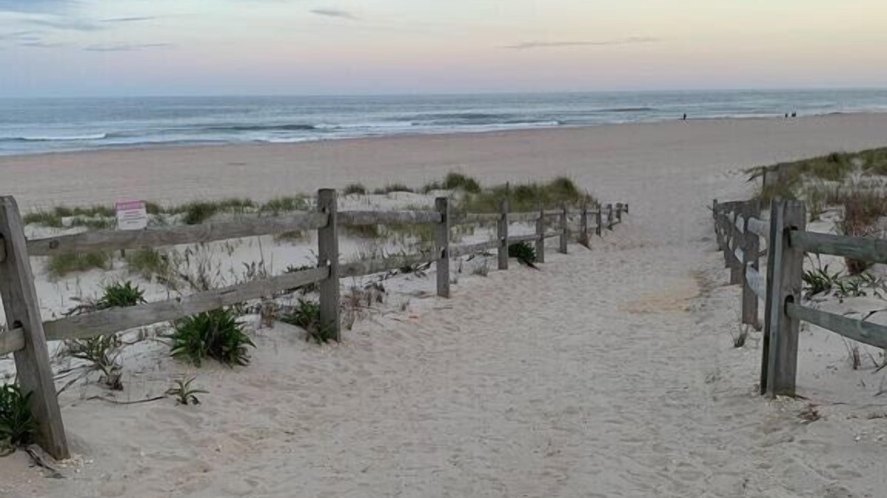 Photo of Others in Beach Haven