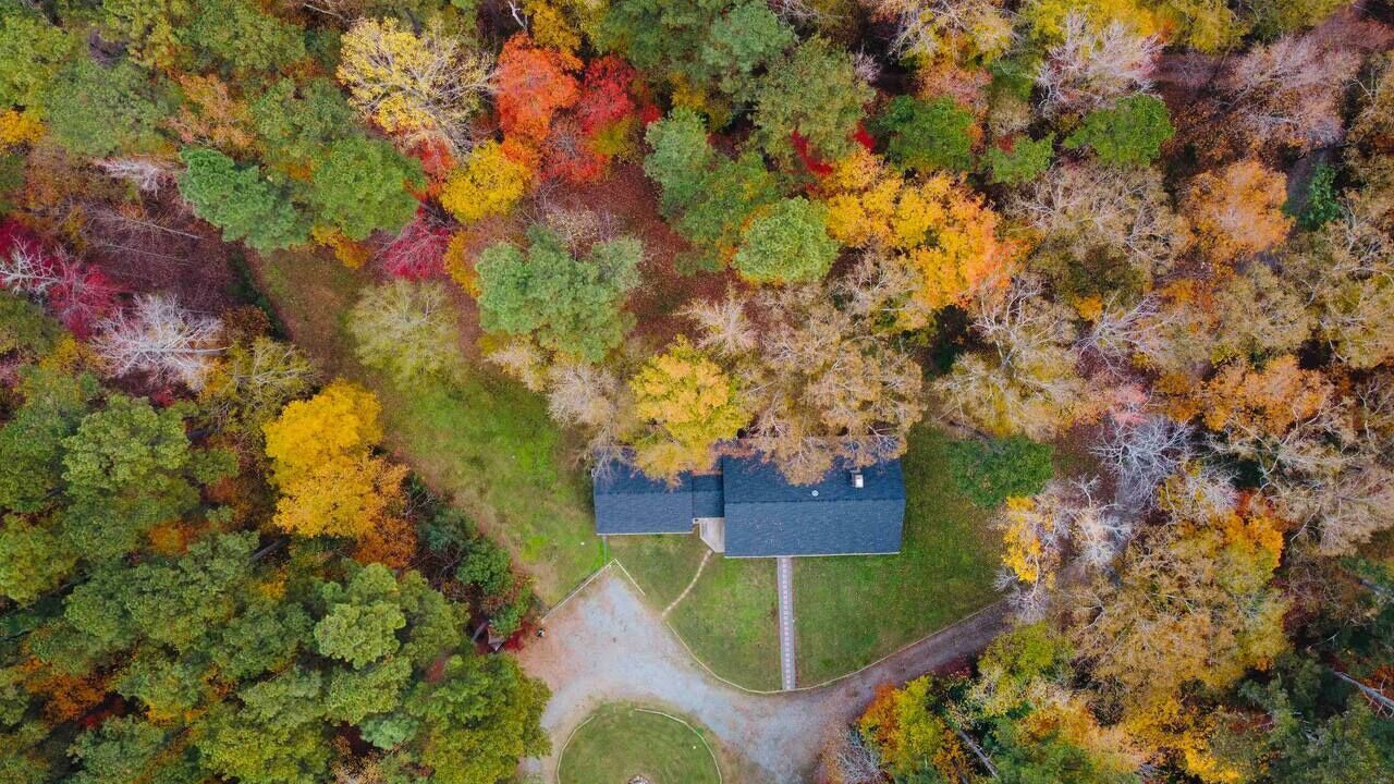 Photo of Others in Chapel Hill
