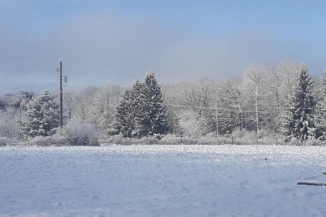 Photo of Others in White Mills