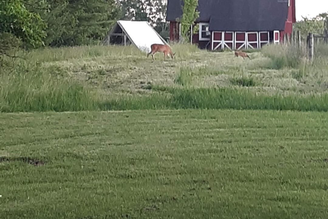 Photo of Outdoor in White Mills