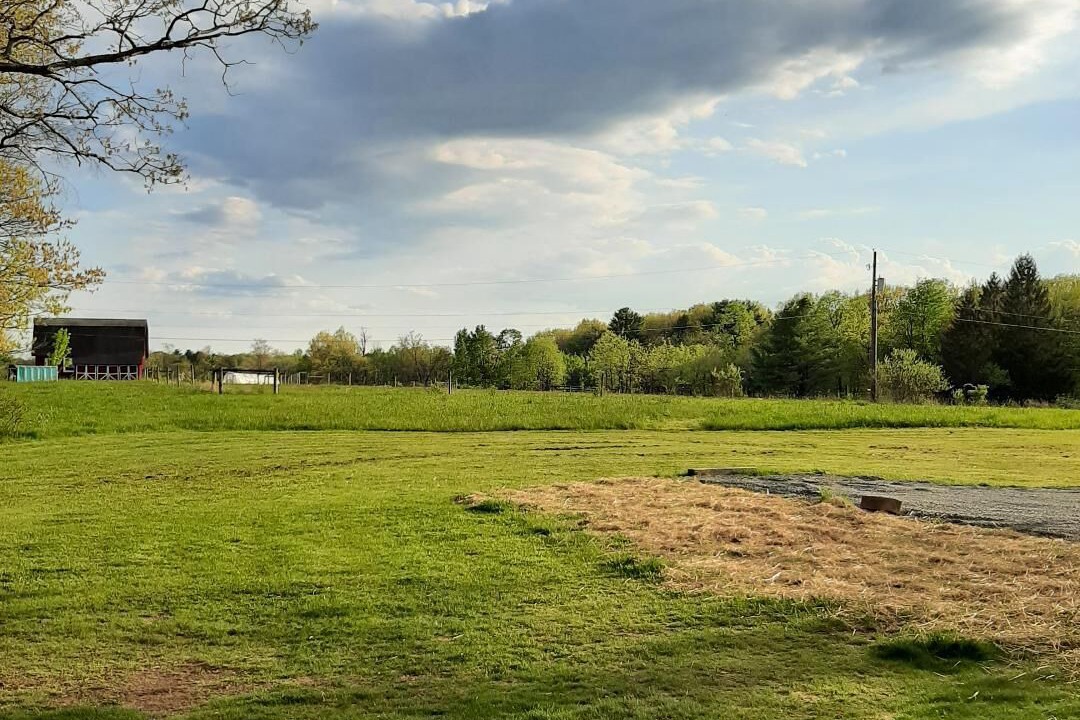 Photo of Outdoor in White Mills