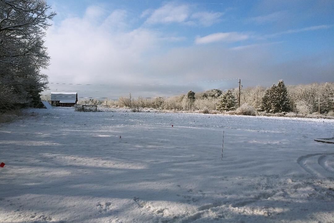 Photo of Others in White Mills