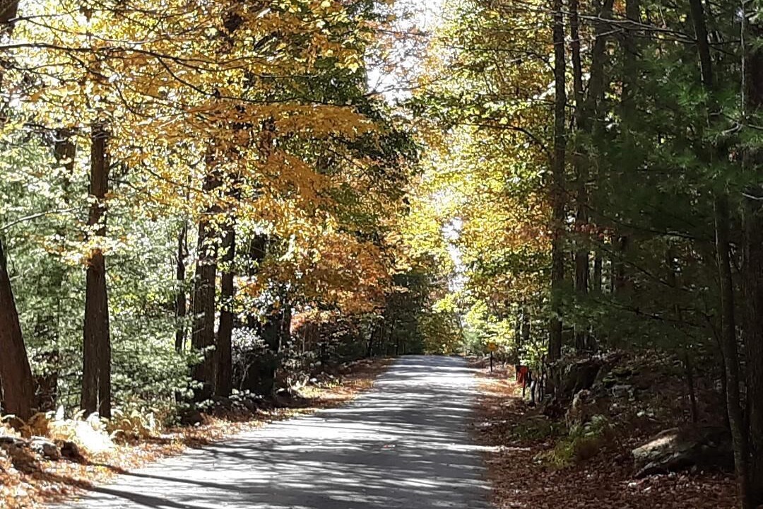 Photo of Outdoor in White Mills