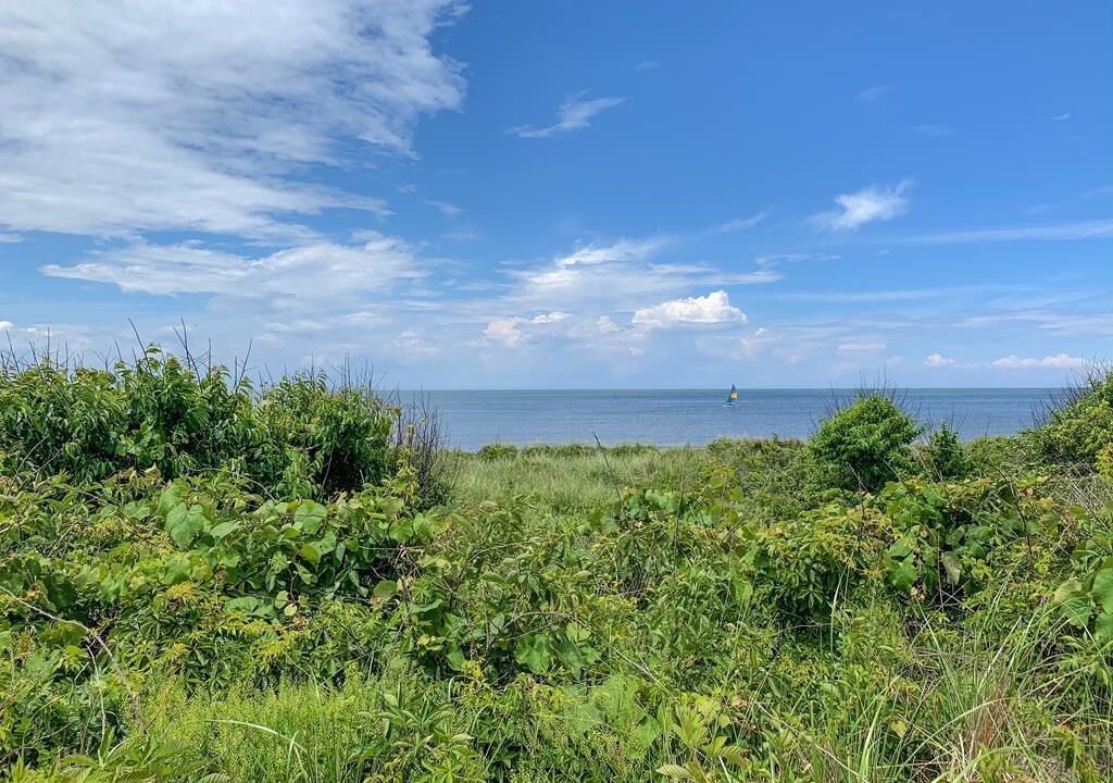 Photo of Others in North Cape May