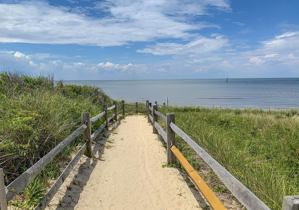 Photo of Others in North Cape May