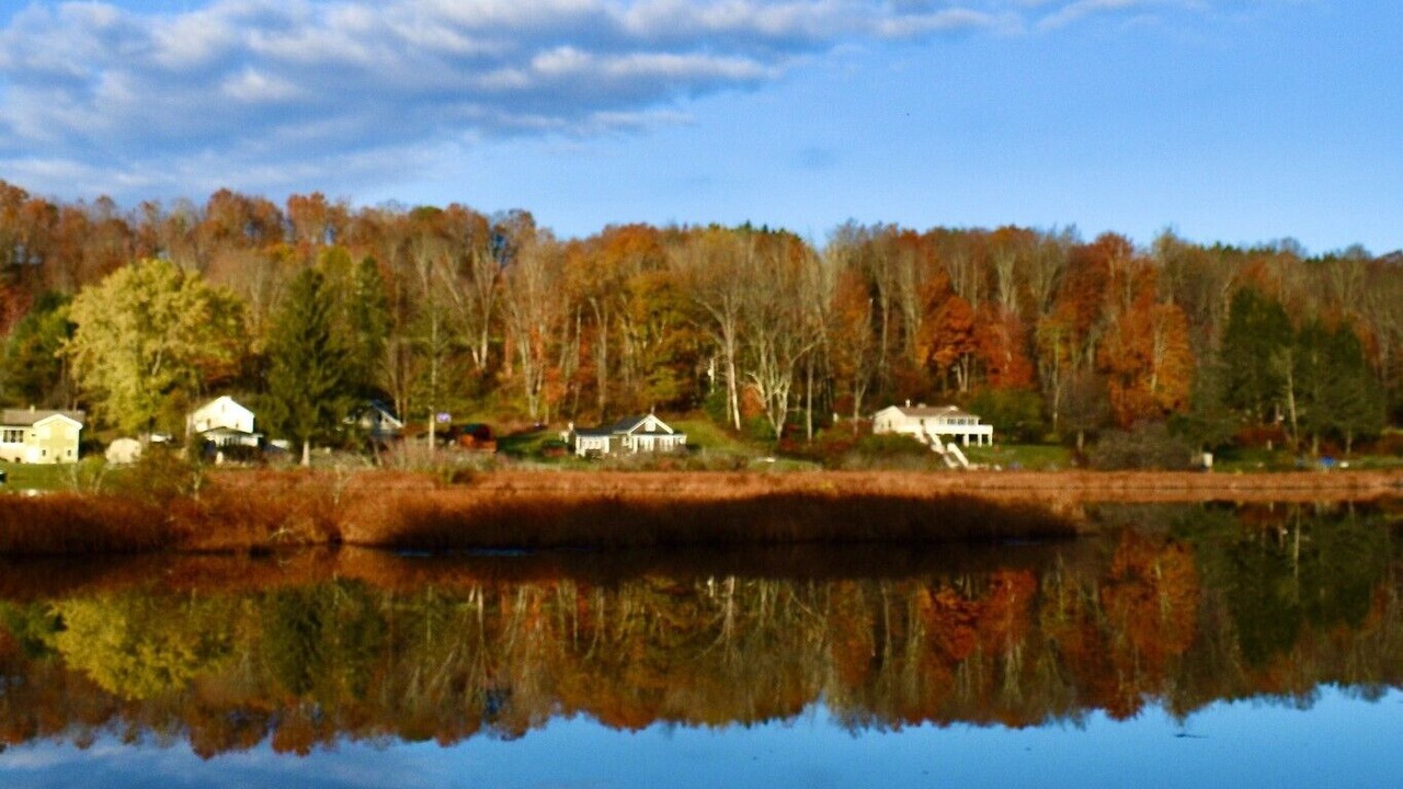 Photo of Others in Kingsley
