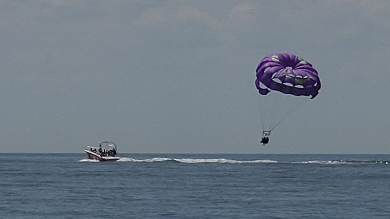 Photo of Others in North Cape May