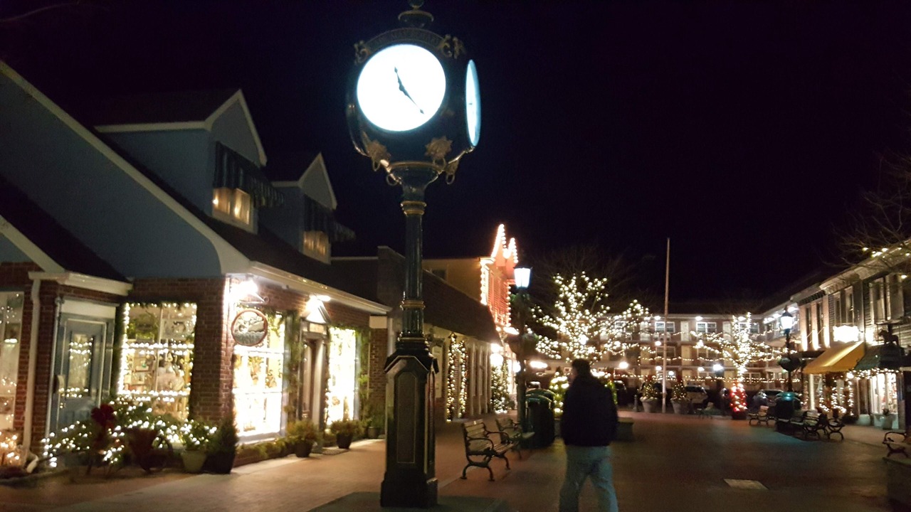 Photo of Others in North Cape May