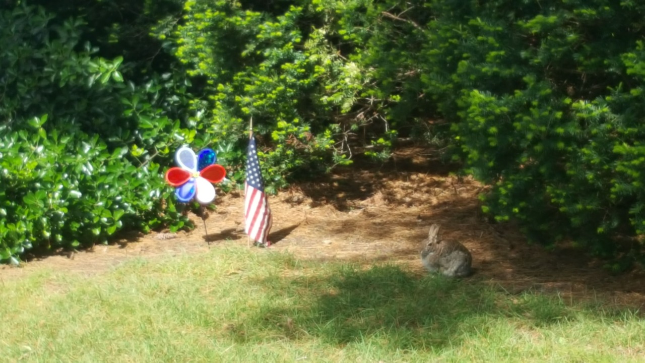 Photo of Outdoor in North Cape May