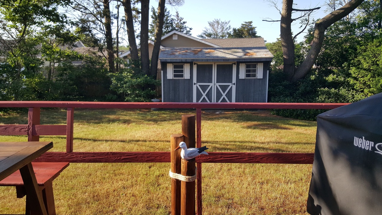 Photo of Outdoor in North Cape May