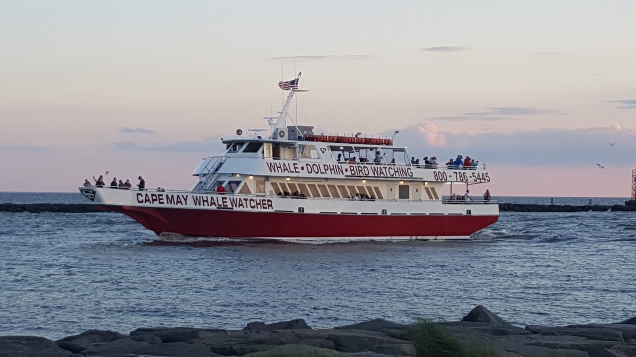 Photo of Others in North Cape May