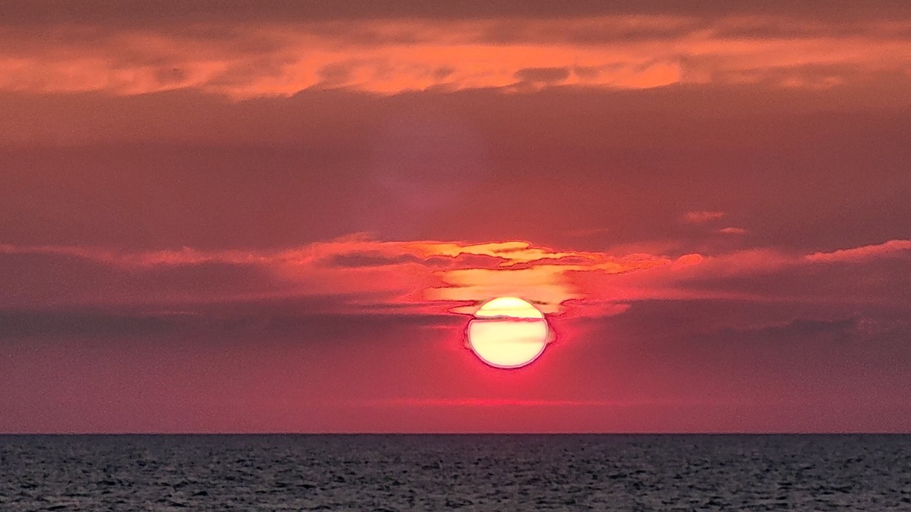 Photo of Others in North Cape May