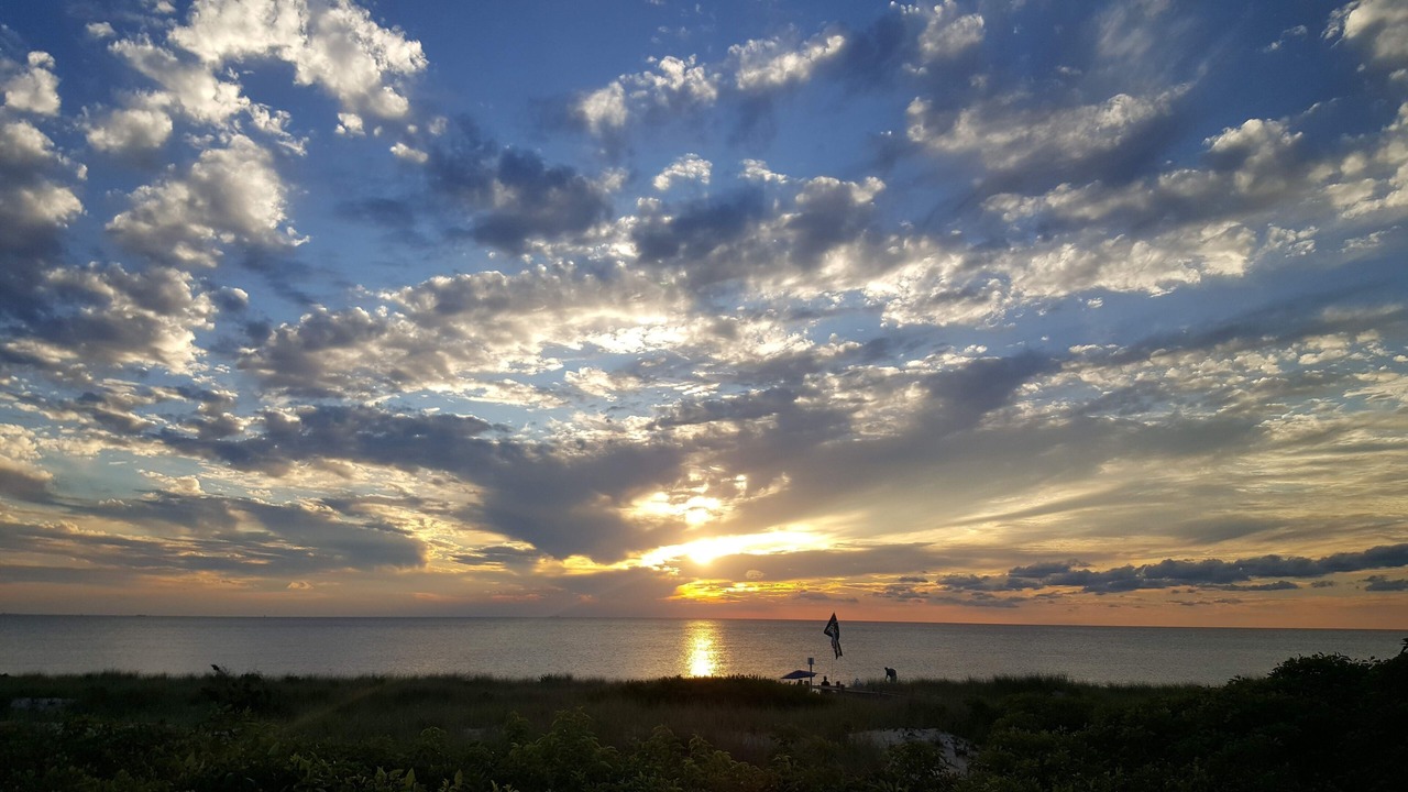 Photo of Others in North Cape May
