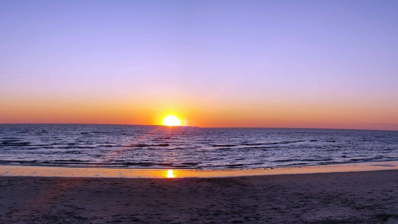 Photo of Others in North Cape May
