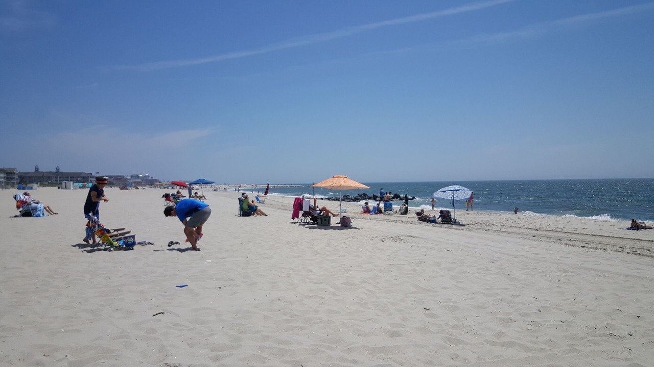 Photo of Others in North Cape May