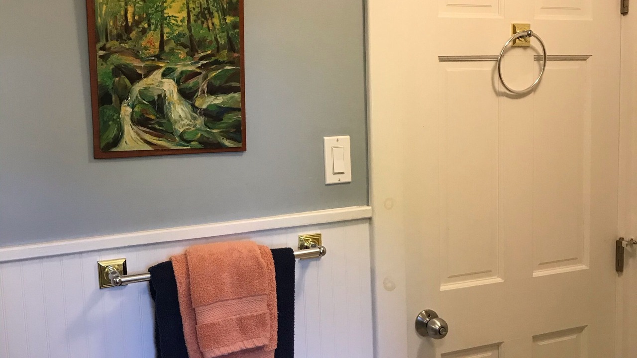 Photo of Bathroom in Callicoon Center
