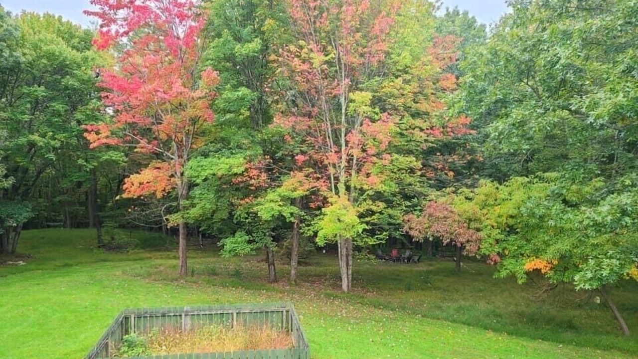 Photo of Outdoor in White Mills