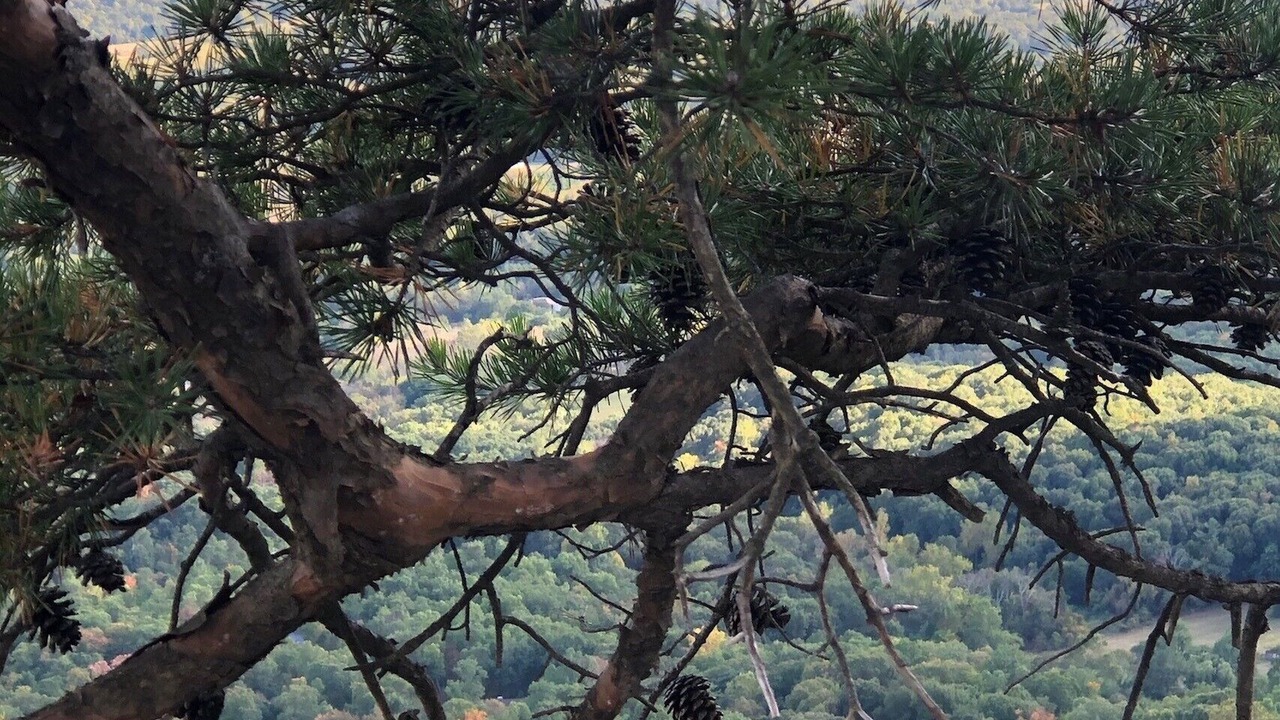 Photo of Others in Fishers Hill