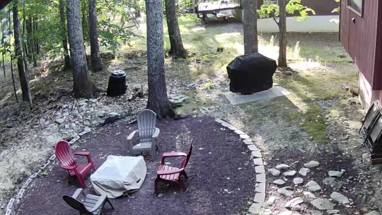 Photo of Others in Bushkill