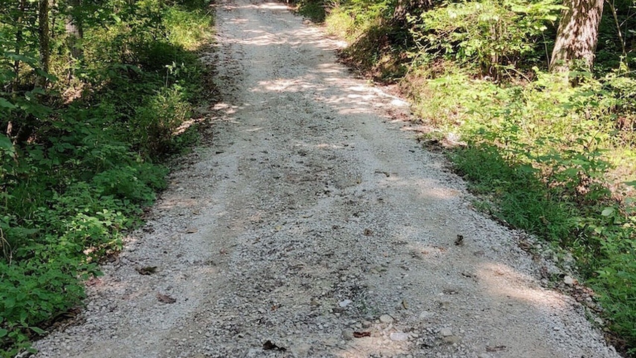 Photo of Others in Rockbridge