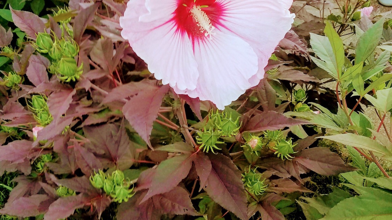 Photo of Outdoor in Phillipsburg