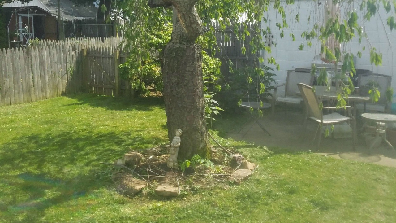 Photo of Outdoor in Phillipsburg