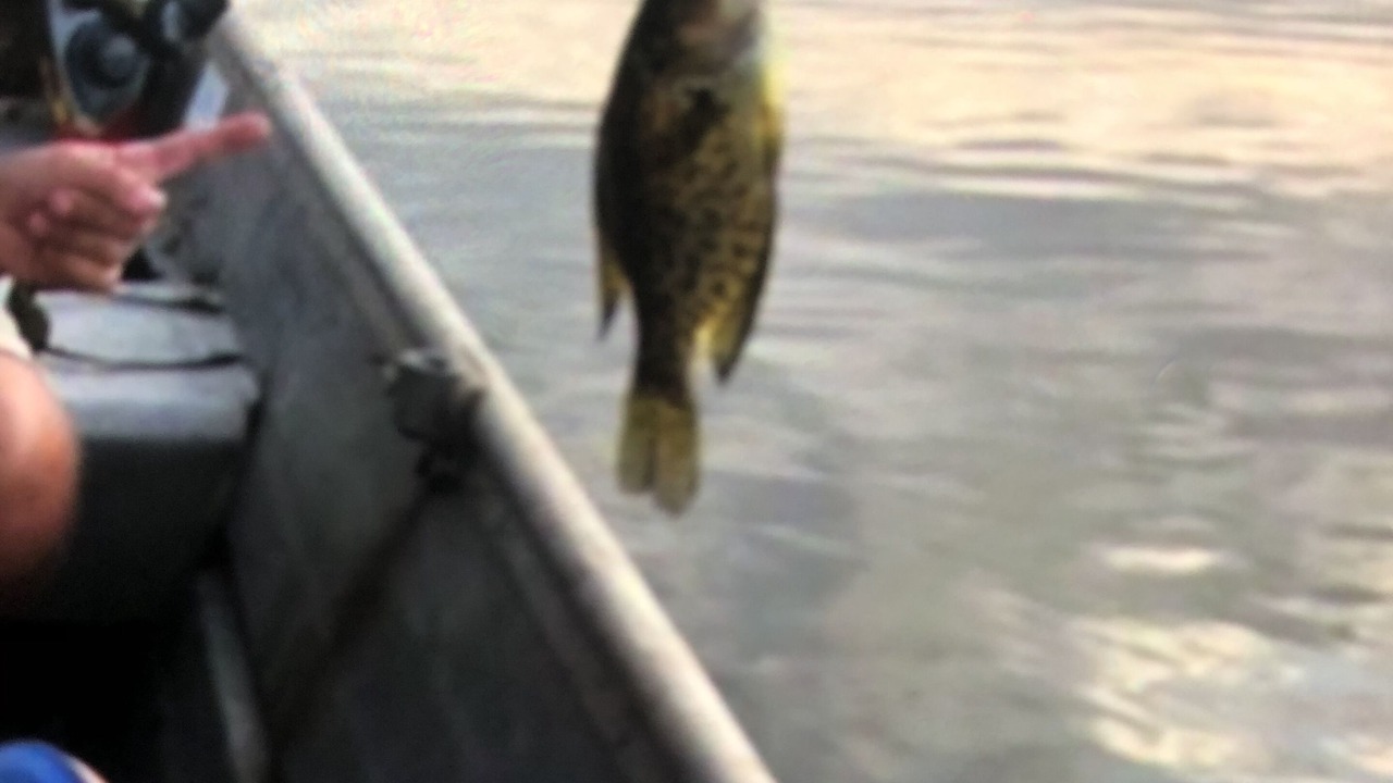 Photo of Others in Highland Lake